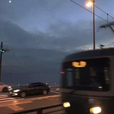 宠物精灵宝可梦破解版下载