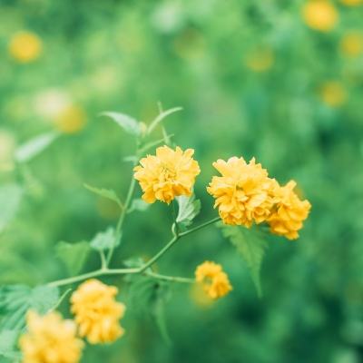 剑与飞仙官方版下载